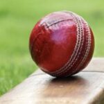 Cricket-300x194-1