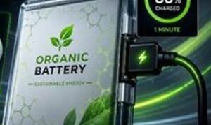 organic-battery-300x179-1