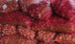 Onion