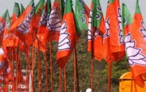 bjp-flag2-300x190-1-2