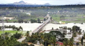krs-mandya