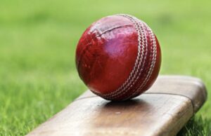 Cricket