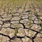 drought-300x203-1