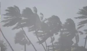 nivar-cyclone-rain