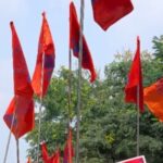 ABVP-flags