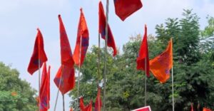 ABVP-flags