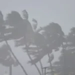 nivar-cyclone-rain-300x176-1